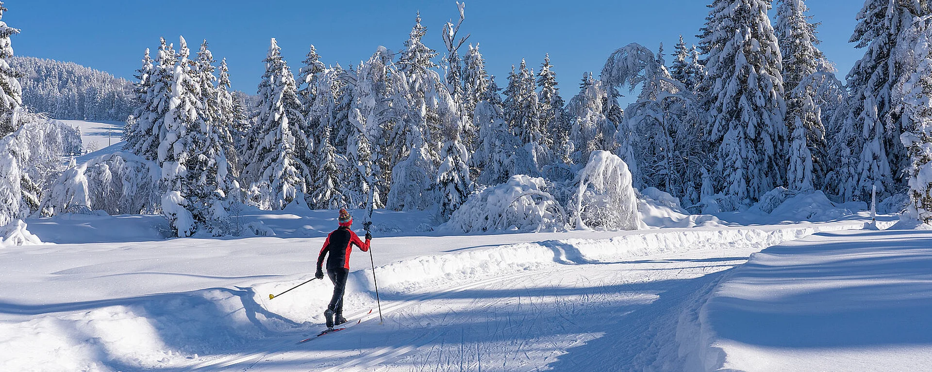 beautiful active senior woman cross-country skiing in fresh fallen powder snow in the Allgau alps near Immenstadt, Bavaria,