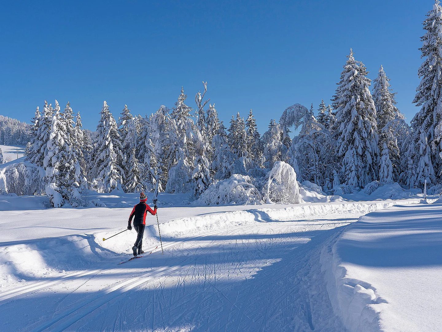 beautiful active senior woman cross-country skiing in fresh fallen powder snow in the Allgau alps near Immenstadt, Bavaria,