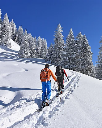 Two skiers with backpacks on the way in a deeply snow-covered landscape in the mountains with coniferous forest at a beautiful winter day. Allgaeu Alps, Bavaria, Germany