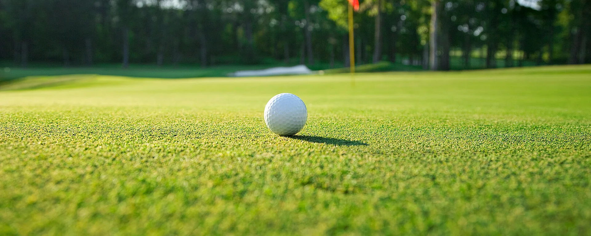 Close up of golf ball on green