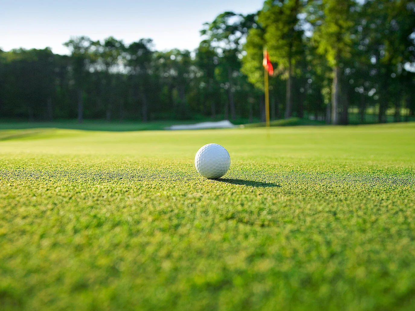 Close up of golf ball on green